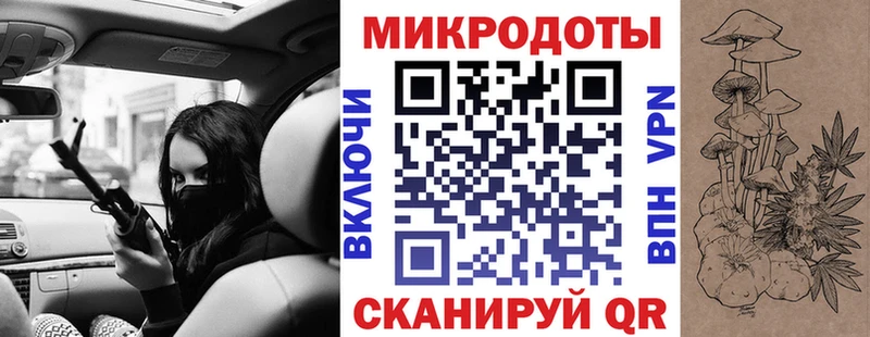 Купить где  Дмитриев  Псилоцибиновые грибы Psilocybine cubensis 